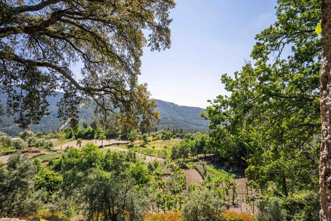 Quinta da Baldieira Mondim de Basto Esterno foto