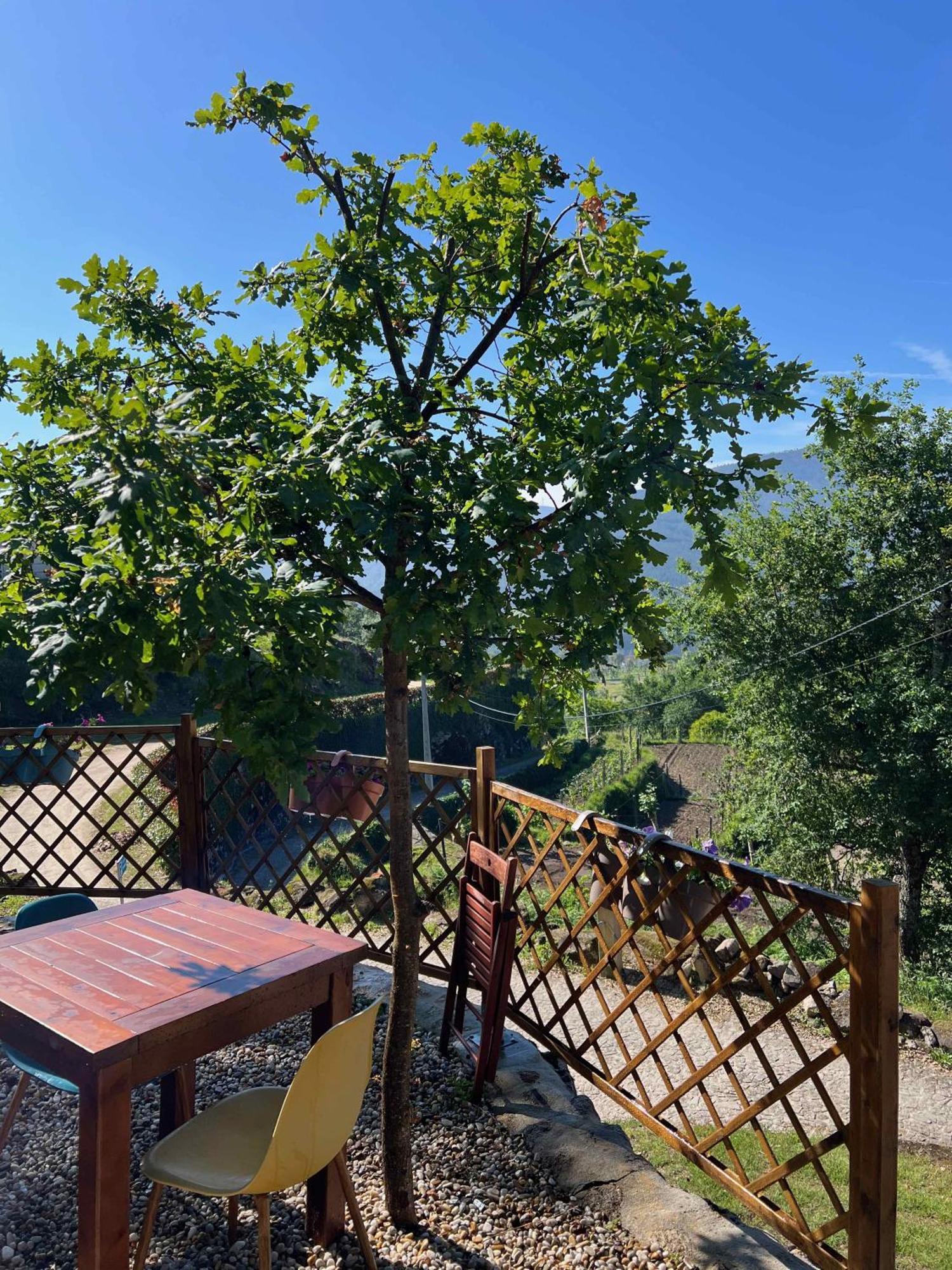 Quinta da Baldieira Mondim de Basto Esterno foto