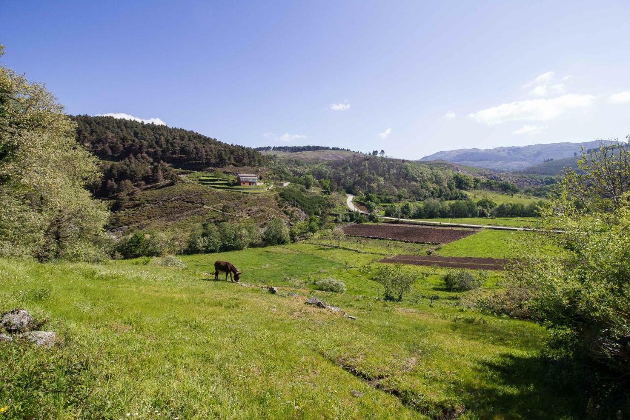 Quinta da Baldieira Mondim de Basto Esterno foto